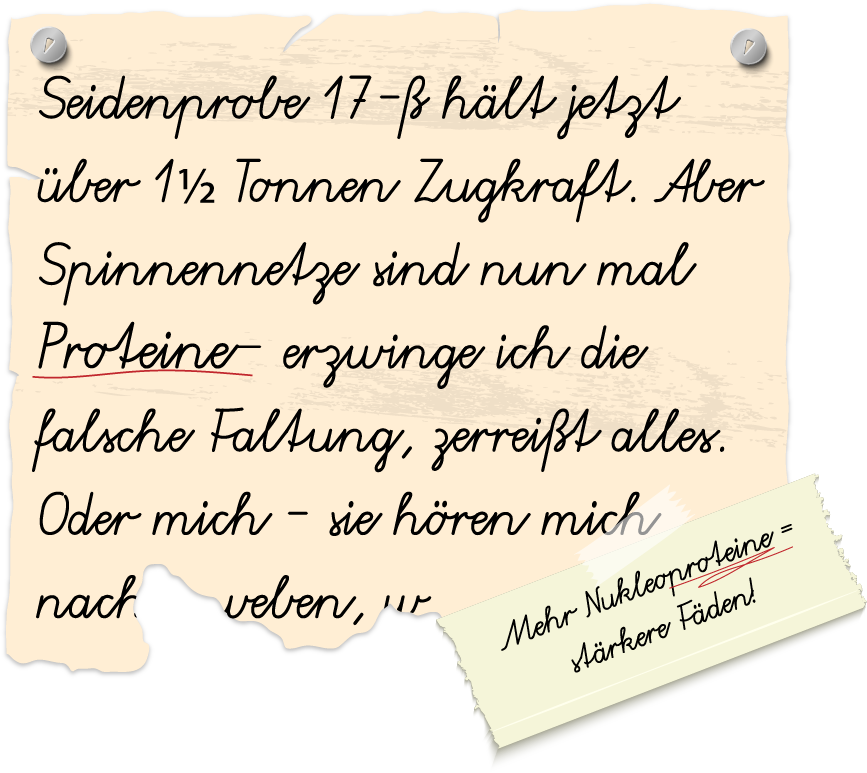 Abgerissener Zettel über Spinnennetze und Proteine